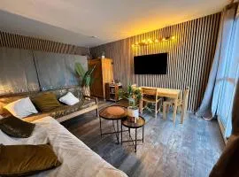 Studio familial, chaleureux, pied des pistes, 5e étage, côté calme