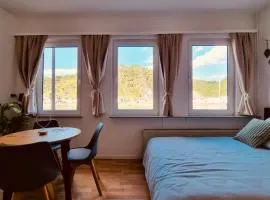 Rheinromantik mit Blick auf die Burg Katz, bis 4P