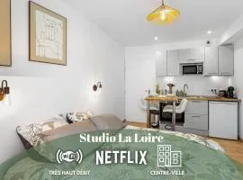 Centre-ville - Fibre - Netflix - Studio la Loire