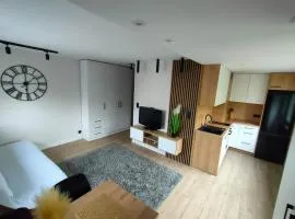 Apartament w Centrum