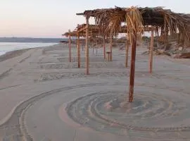 Top comfort beach villa
