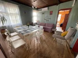 Villa Rekin