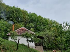 Domaćinstvo Ristović，位于Banovo Polje的酒店