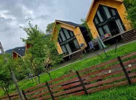 Chalet Resort Weekend BORJOMi