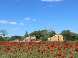 Maison Abricot et Orange