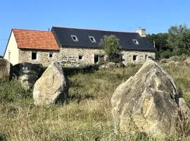 Menhirs et Moutons Ouessant