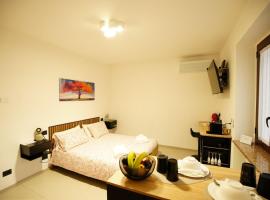 The One Malpensa Rooms，位于维佐拉提契诺的酒店
