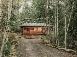 Glacier Springs Cabin 76 - Wi-Fi - Pets Ok