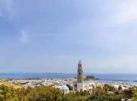 Epavlis Petrou Siwtou