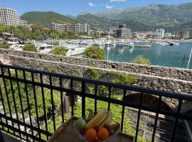 阿勒克斯旧城公寓酒店，位于布德瓦的酒店