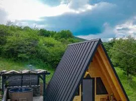 A FRAME 1 TRANSALPINA