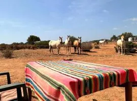 Michas caravan for 2 See the herd of horses from your bed