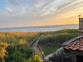 Restart Accommodations Nerone