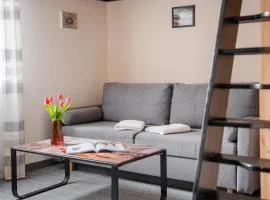 Apartament Loftowy na Spokojnej