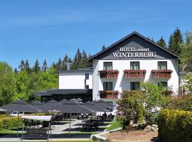 温特贝格度假村酒店，位于温特贝格的酒店
