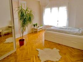 Radnóti hipster design flat，位于Pusztavacs的酒店