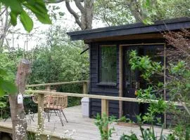 The Little Green Cabin