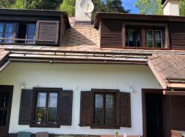 Gallys Mounting Cottage Pod Boubinem，位于Lenora的度假园