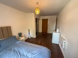 Heavenly Nest Leytonstone London service accommodation