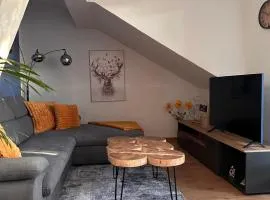 Dachnest mit Charme