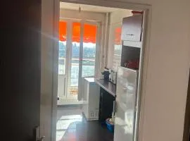 Bruxelles pro