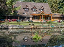 AUBERGE du BORD des EAUX - Demi-pension assurée sur réservation，位于圣阿芒莱索的酒店
