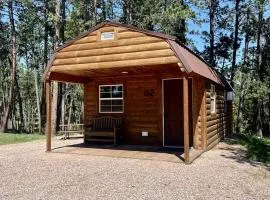 Sweet Cabin Ideal for a Family Escape in South Dakota