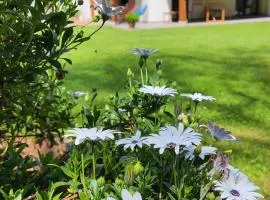 Reguero Gato Turismo Rural