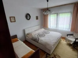 Vlajka