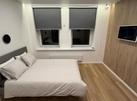 6 New Airport Apartment，位于Vilnius的酒店