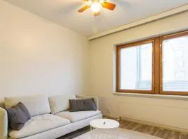 Spacious Apartment for 3