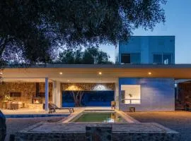 LAR Valle de Guadalupe