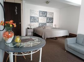 Hotel Tierrasur，位于阿雷基帕的酒店