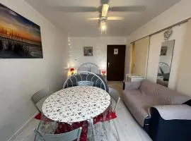 Studio en centre-ville avec WIFI, proche thermes - FR-1-541-174
