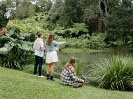 Relax Unwind This Summer at Nordic Star with Lake View