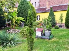Gemütliche Wohnung Mit Terrasse