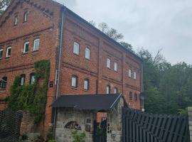 Krzywa Apartamenty，位于瓦尔米亚地区利兹巴克的酒店