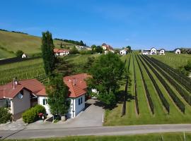 Kellerstöckl - Zur Weinreibe 1，位于德普因-艾森伯格的酒店