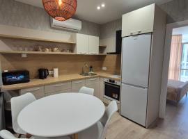 Doga ApartHotel Center，位于基希讷乌的酒店