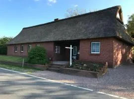 Gemütliches Reetdachhaus In Schleswig Holstein