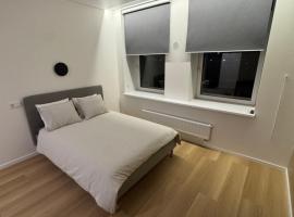 5 New Airport Apartment，位于Vilnius的酒店