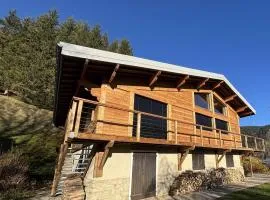 Chalet alpin à Méaudre, 12 pers, vue panoramique, charme et confort - FR-1-737-22