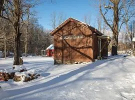 Cozy Cabin Gateway with Pool and Firepit
