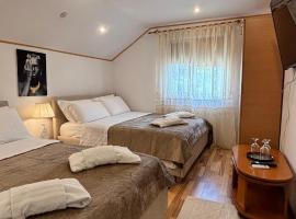 IMPERIUM DK VILLA，位于Remuş的民宿