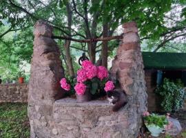Agriturismo Case in Collina，位于沃尔塔曼托瓦纳的农家乐