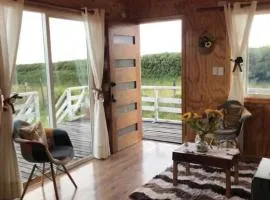 Cabañas Altos de Ñida