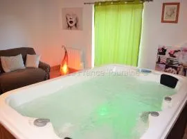 Gîte de charme avec Spa privatif en Touraine - proche châteaux, zoo, et balades pittoresques - FR-1-381-84
