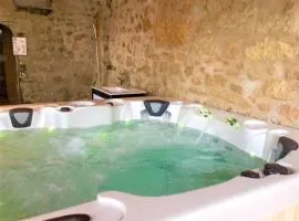 Élégante Demeure 17e avec Spa, Sauna et Authentique Cheminée, proche Châteaux de la Loire - FR-1-381-348