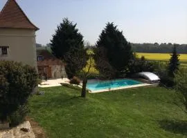 Charmante demeure 17e avec piscine privative, grand jardin et patrimoine riche en Touraine Sud. - FR-1-381-368