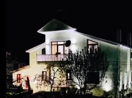 Vila Bashllari